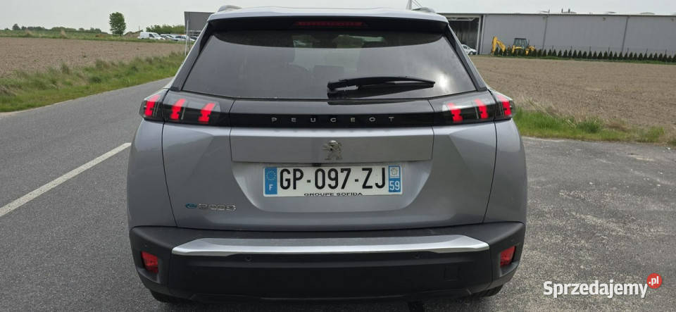 Peugeot 2008 2008 8 II 2019 przyciemniane szyby Motoryzacja