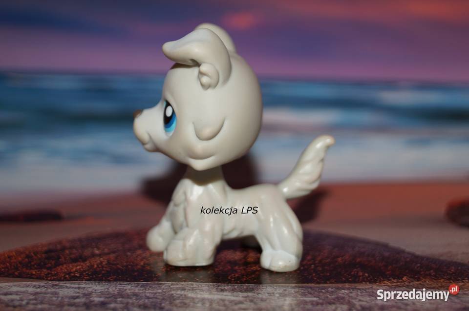 LPS collie 363 UNIKAT oryginalny Littlest Pet Rybnik