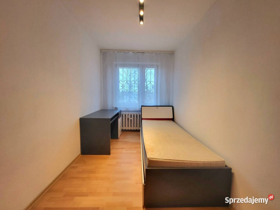 Na wynajem 3 pokoje Uniwersytecie