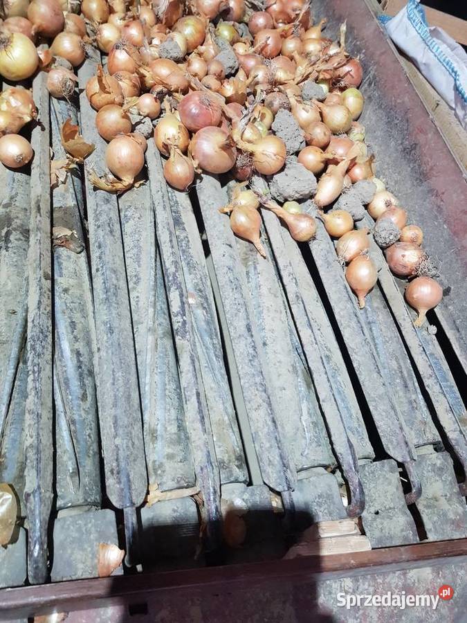 Wagoworkownica do kombajnu anna i do obcinaczki Piestrzec