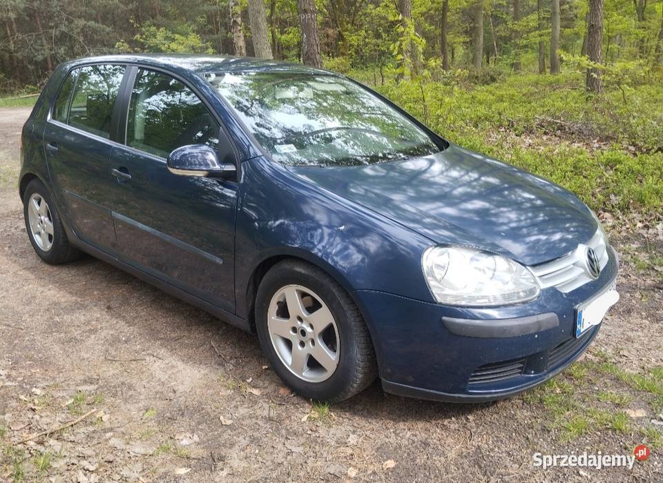 Volkswagen Golf V 14 mpi Oleśnica