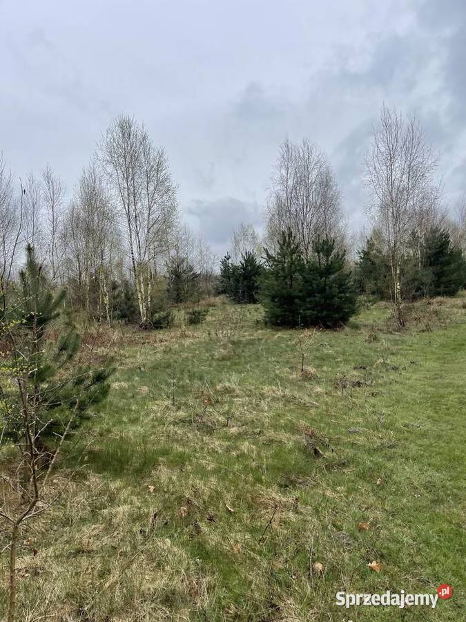 Sprzedam działkę budowlaną z warunkami zabudowy 35m Korzyce