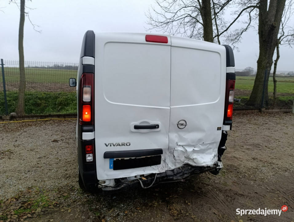 Opel Vivaro Vivaro Long 78 diesel wielkopolskie Pleszew