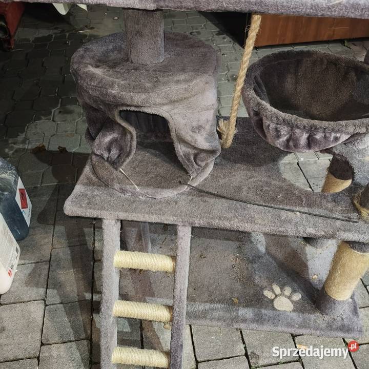 Sprzedam drapak kota pomorskie Luzino