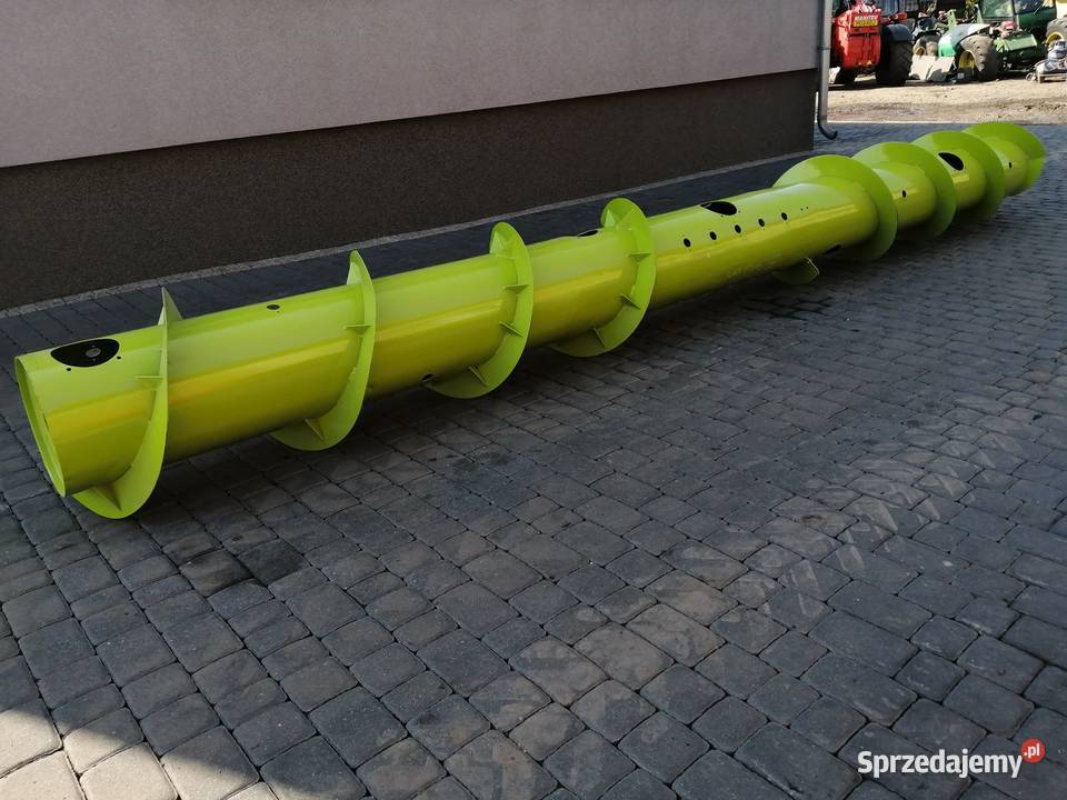 Żmijka hederu 540m Claas Wilkowo