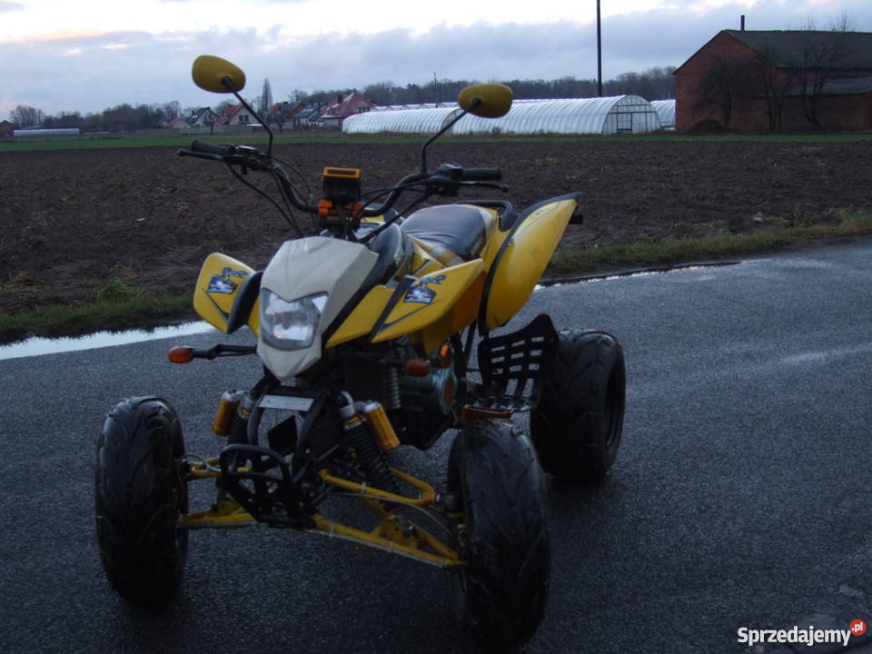 quad bashan 200 wielkopolskie Ilno