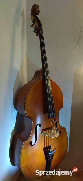 Kontrabas 34Musima z certyfikatem Jędrzejów sprzedam