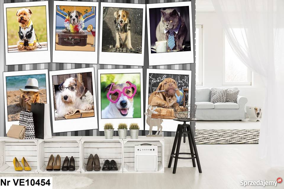 Tapeta fototapeta Pieski i kotki psy i koty wewnętrzne