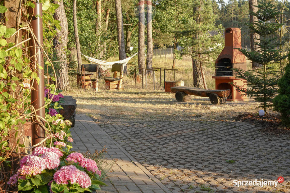 Działka leśna z domkiem na sprzedaż Rozniszew sprzedam