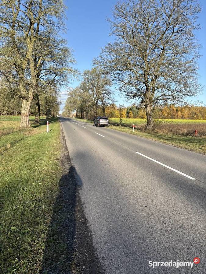 Syndyk sprzeda Sworzyce