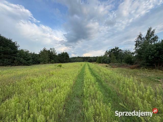 Dziełka budowlana Kuligów sprzedam