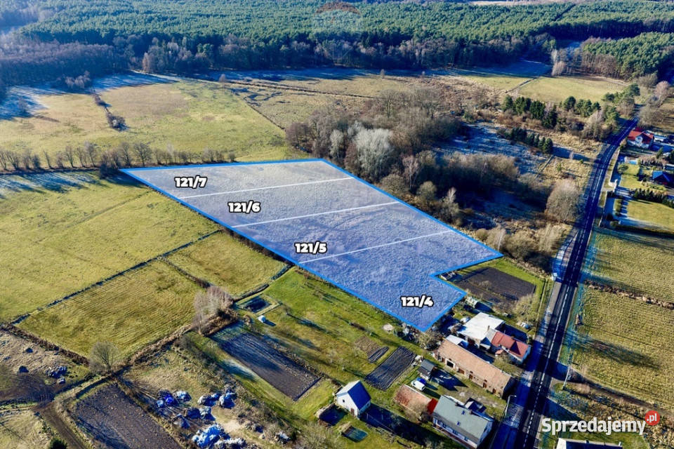 Na sprzedaż 4 działki rolne łącznie 18479 m lubuskie sprzedam