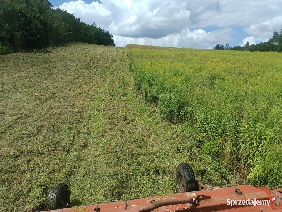 Mulczowanie terenu Mulczer POWIERZCHNIOWY Karczowanie i usuwanie drzew Skała