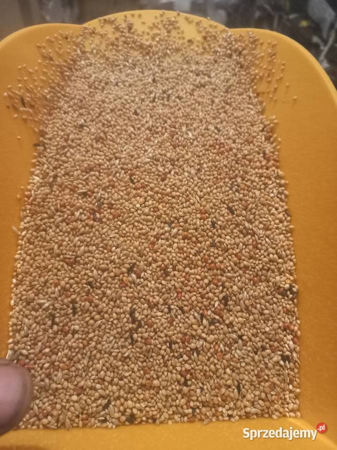 Karma drobnej egzotyki Rzeszotary