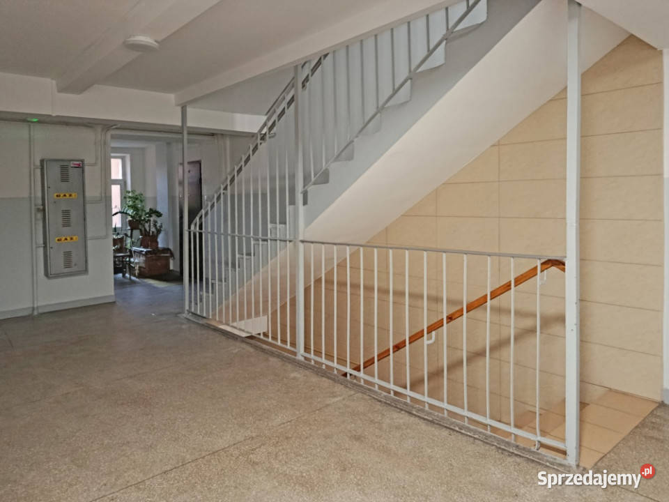 Saska Kępa Międzynarodowa sprzedam bezpośrednio Liczba pokoi 3 Warszawa