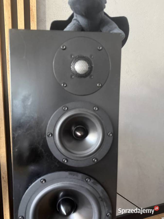 Kolumny Amstaff Mini firmy Harpia Acoustics Siemianowice Śląskie