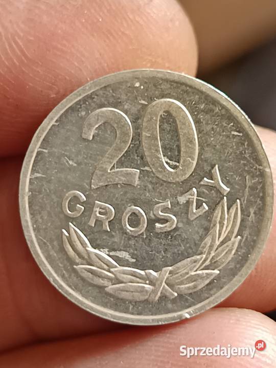 Sprzedam 20 gr 1981 r lekka skretka Chełm