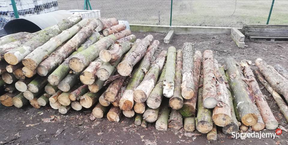 Sprzedam drewno sosnowe opałowe