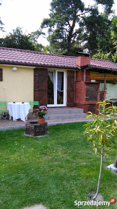 Działka rekreacyjna jez Miedwie Koszewo 500m2 Nieruchomości Koszewo