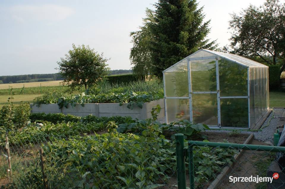 Szklarnia ogrodowa poliwęglan 567m2 211x271x191 Bielsko-Biała