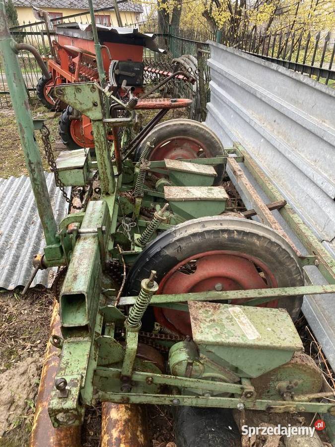 siewnik do buraków HASSIA Siewniki i sadzarki Krasnystaw