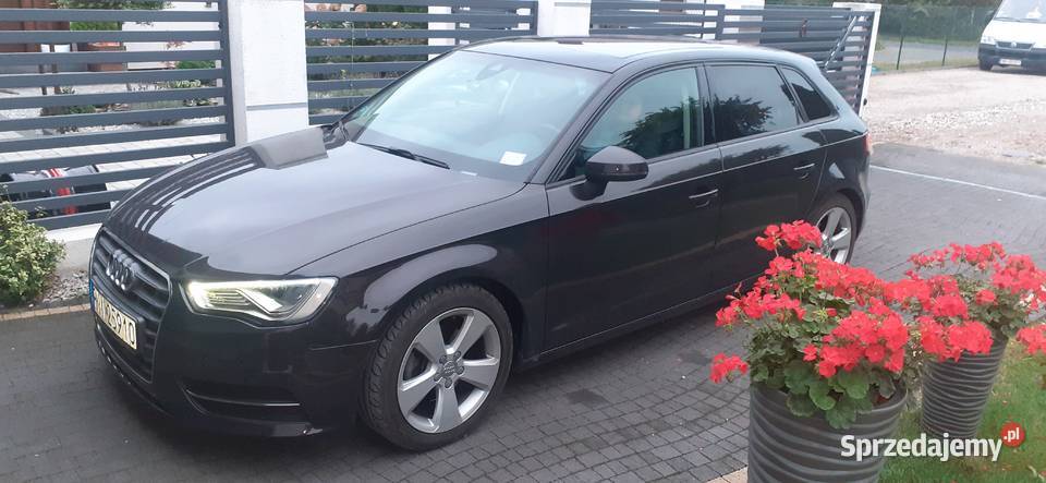 Audi a3 Super stan PanoramaRadarTemomat Rok produkcji 2014 Międzychód