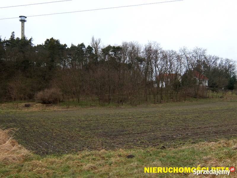Na sprzedaż gospodarstwo Krobielewko Krobielewko