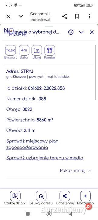 Sprzedam 1h lasu starego Sprzedaż lubelskie Stryj