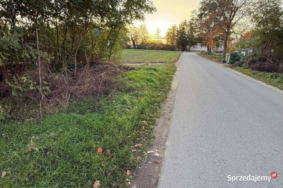 Działka rekreacyjna sprzedaż wynajem Kosewo j 120zł/m2