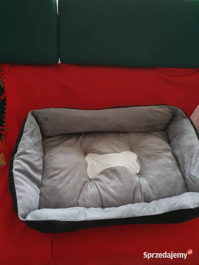 Legowisko psakota lubelskie Lublin