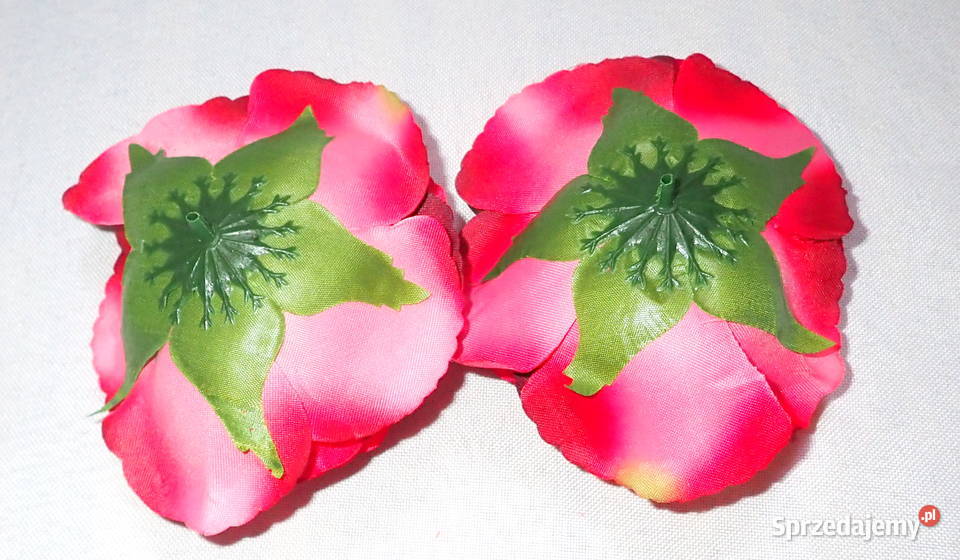 Róże rozwinięte chińskie okazałe 11 Kolory L049 śląskie Siewierz