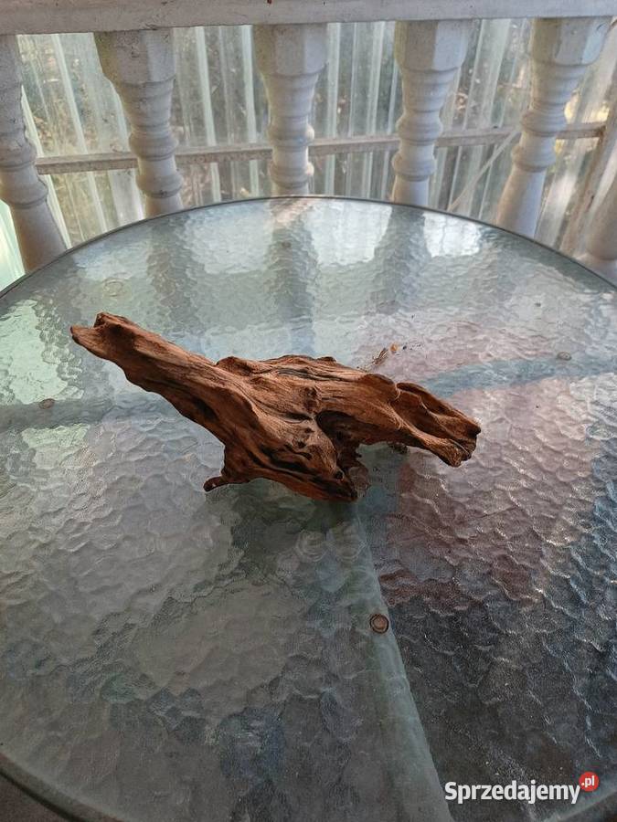 Korzeń do terrarium xl Rejowiec Fabryczny
