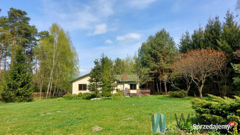 Sprzedaż działki Wiązowna 9130m2