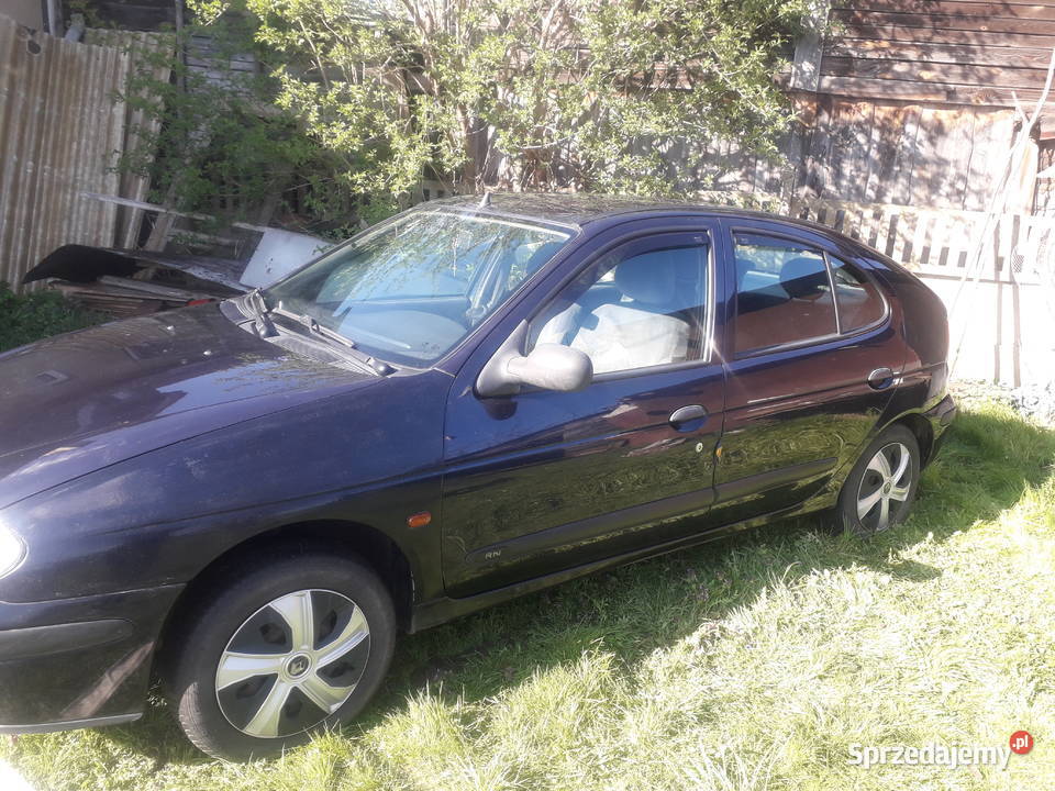 Renault Megane Międzyrzecz