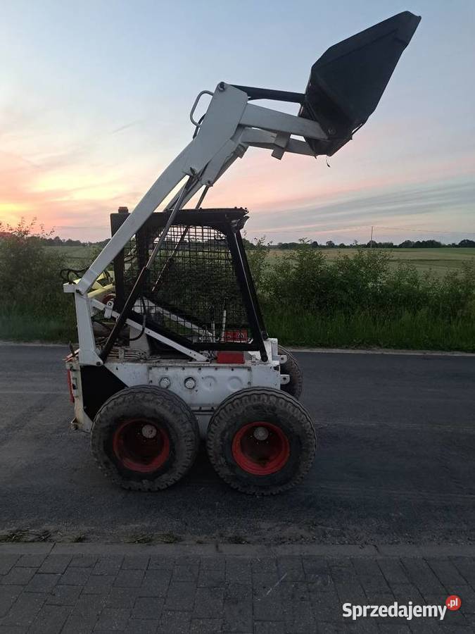 Bobcat Brodnica