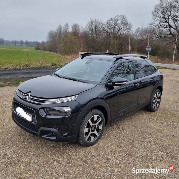 Citroen C4 Cactus, dobrze wyposażony