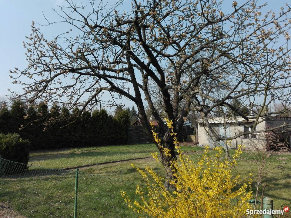 Działka ROD Minikowo Poznań