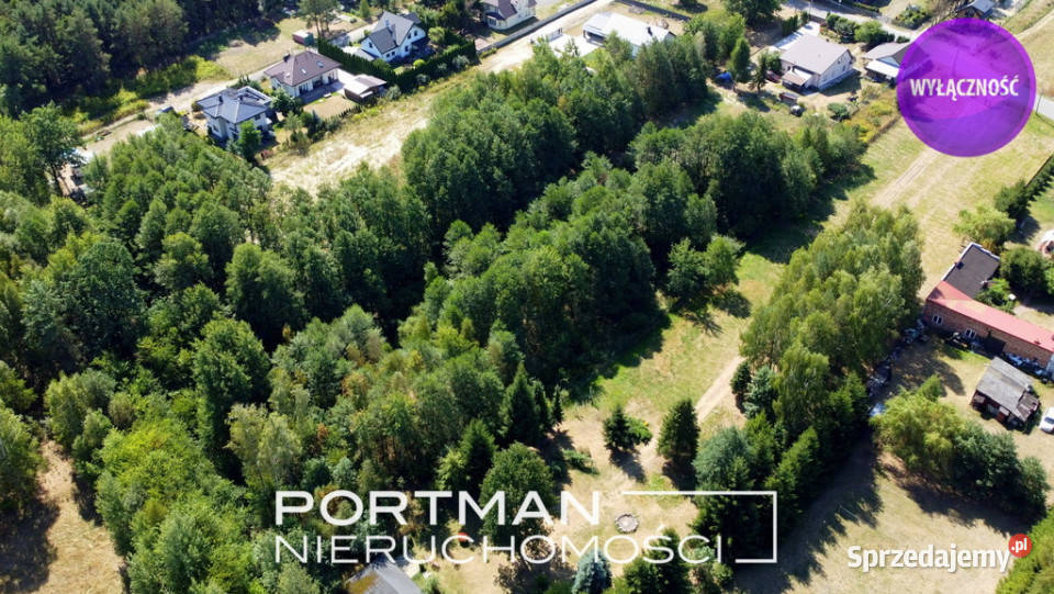 Cisza i spokój w Dyzinie działka 2831 m2 Sprzedaż