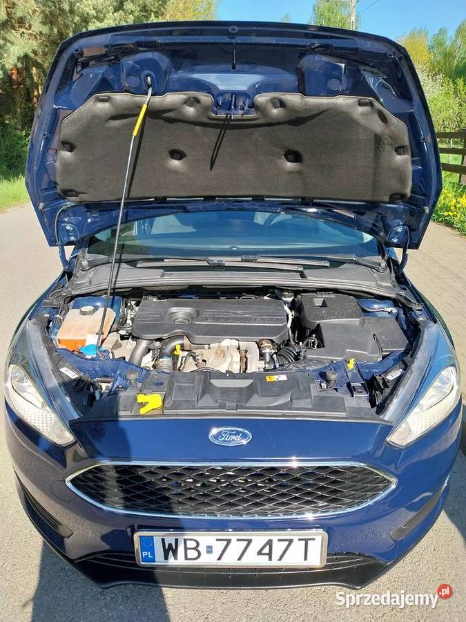 Ford Focus 15 TDCI klimatyzacja świętokrzyskie Ostrowiec Świętokrzyski