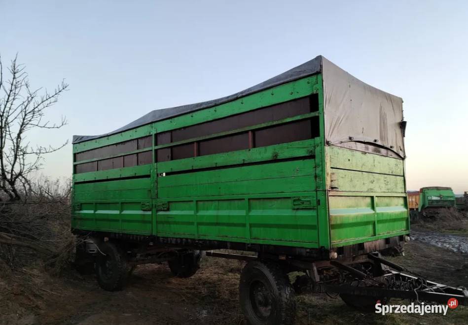 Przyczepa do przewozu zwierząt trzody chlewnej Dmosin