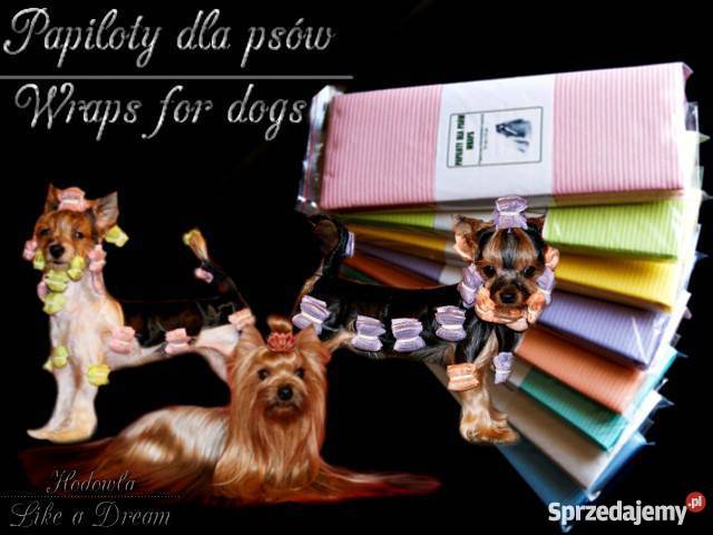 Papiloty psów psa papierowofoliowe gumki Akcesoria dla zwierząt Działdowo