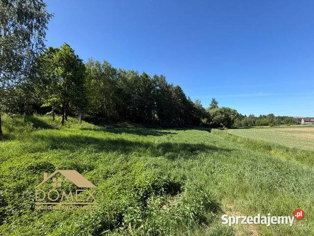 Działka 3373m2 Pogwizdów