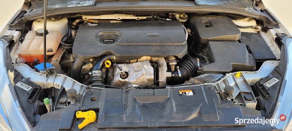 Ford Focus MK3 15 TDCI 2017 r 120KM Kłodzko