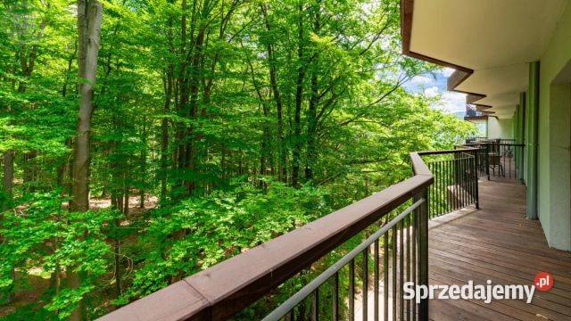 APARTAMENT SZKLARSKA POREBA 3 pok 5009 m2 Górna Sprzedaż dolnośląskie Szklarska Poręba