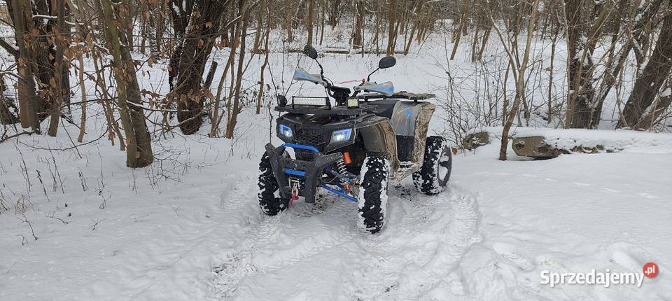 Quad Farmer Pro 250 XTR Rybczewice Drugie sprzedam