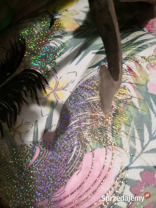 Antyczne Nożyce do Cukru