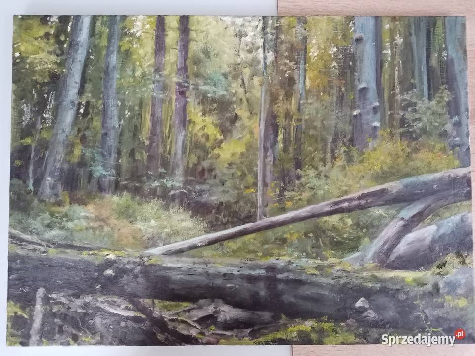 Obraz olejny 50x70 Bieszczady Malarstwo Przeworsk