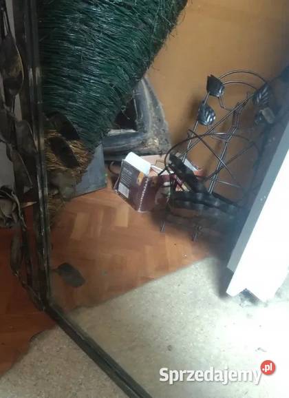 Lustro ścienne 40x60 rama metalowa kwiaty róże Kraków