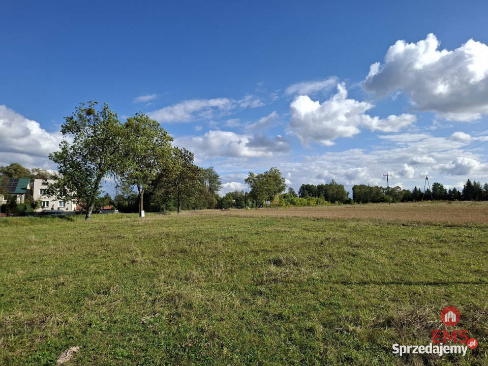 Grunt 21827m2 Kuriany inwestycyjna