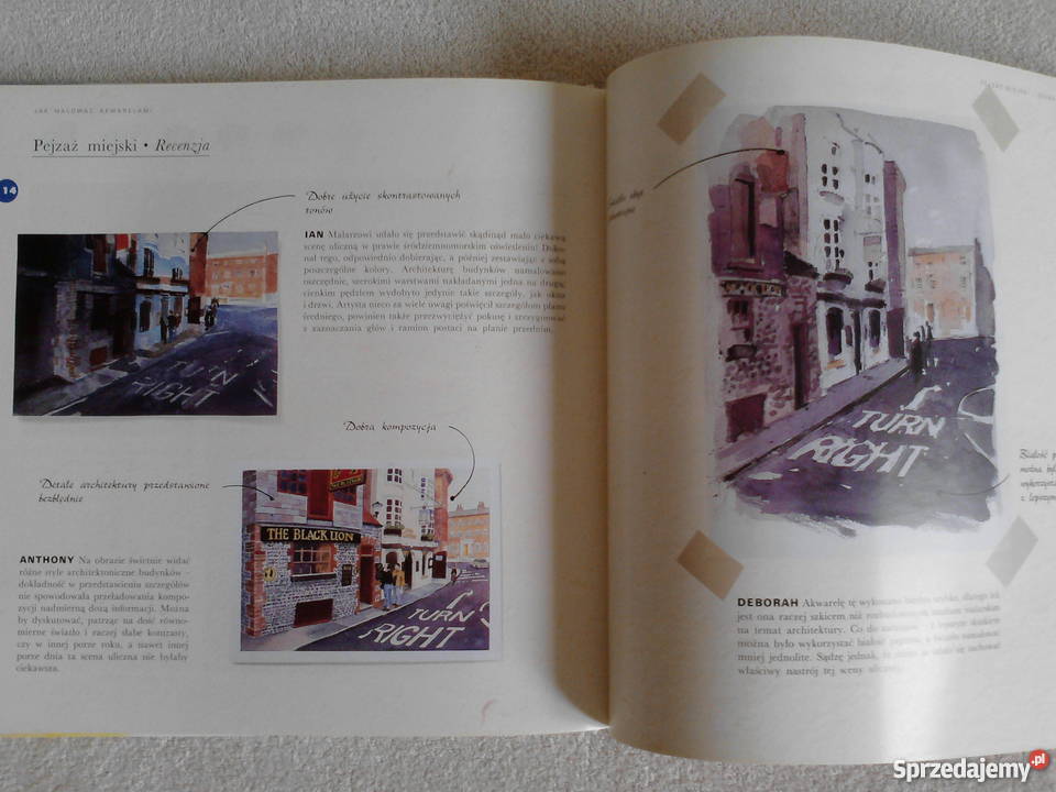 malować akwarelami Gerald Woods poradnik Częstochowa